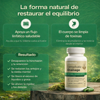 Linfo-Glow™ | Drenaje Linfático y Belleza Desde Dentro